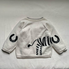 Load image into Gallery viewer, Lucky Zebra Jumper