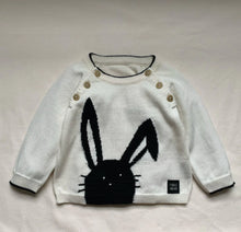 Load image into Gallery viewer, Bunny Jumper
