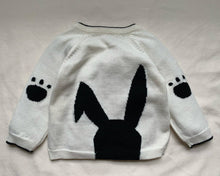 Load image into Gallery viewer, Bunny Jumper
