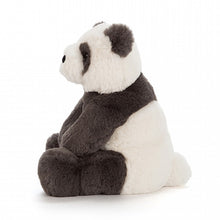 Load image into Gallery viewer, Harry Panda Cub Small
